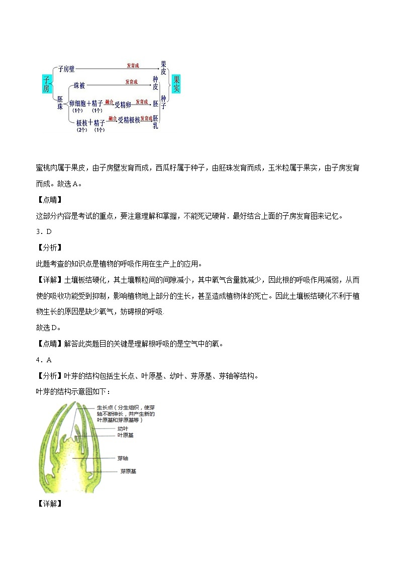 初中生物中考复习 （安徽卷）2021年中考生物第一次模拟考试（全解全析）02