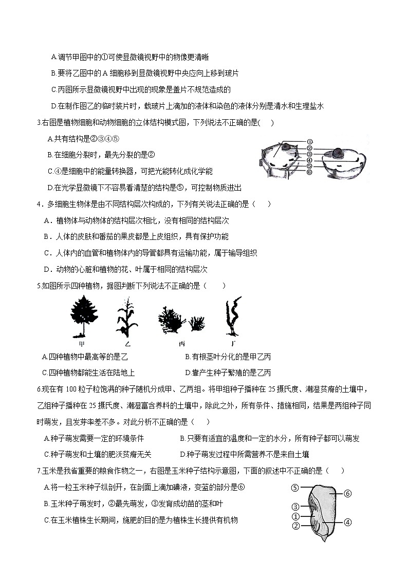初中生物中考复习 （山东卷）2021年中考生物第一次模拟考试（A4考试版）第2页