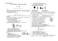初中生物中考复习 （山东卷）2021年中考生物第一次模拟考试（考试版）