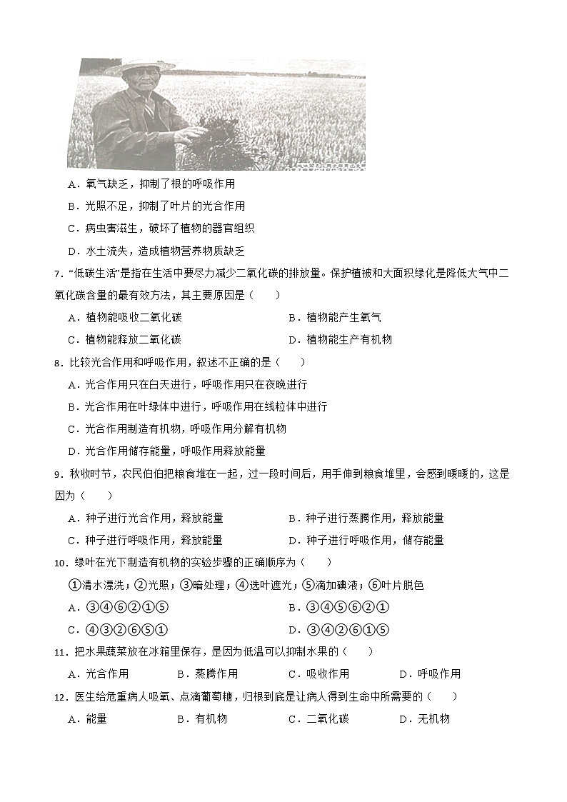 初中生物中考复习 【人教版】2023届中考一轮复习专用训练卷—专题9 绿色植物与生物圈中的碳氧平衡 （含解析）02