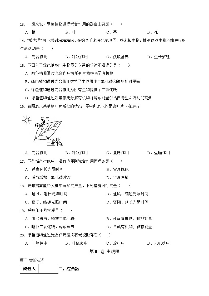 初中生物中考复习 【人教版】2023届中考一轮复习专用训练卷—专题9 绿色植物与生物圈中的碳氧平衡 （含解析）03