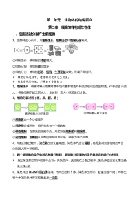 初中生物中考复习 03+细胞怎样构成生物体-2022年中考生物一轮复习核心考点必背知识清单