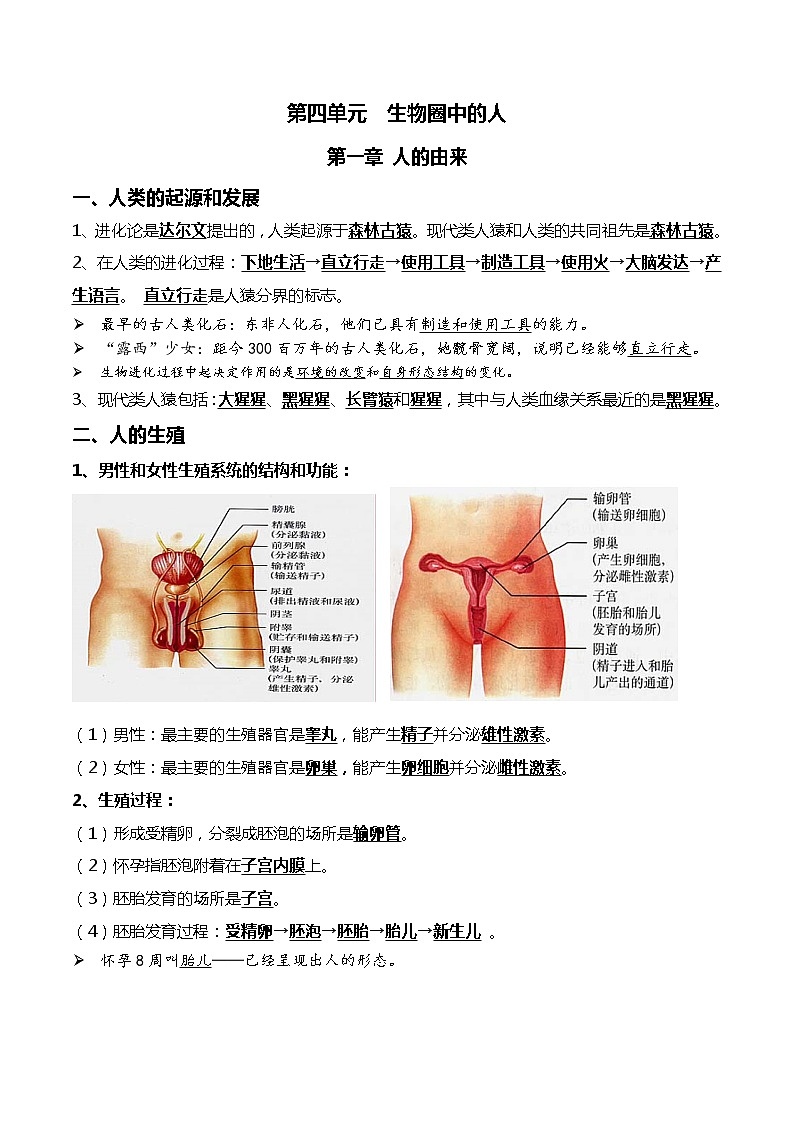初中生物中考复习 06+人的由来+人体的营养-2022年中考生物一轮复习核心考点必背知识清单01