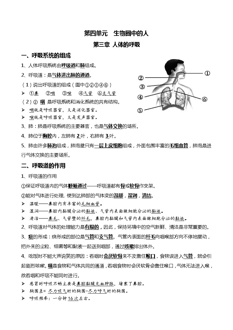 初中生物中考复习 07+人体的呼吸+人体内物质的运输-2022年中考生物一轮复习核心考点必背知识清单01