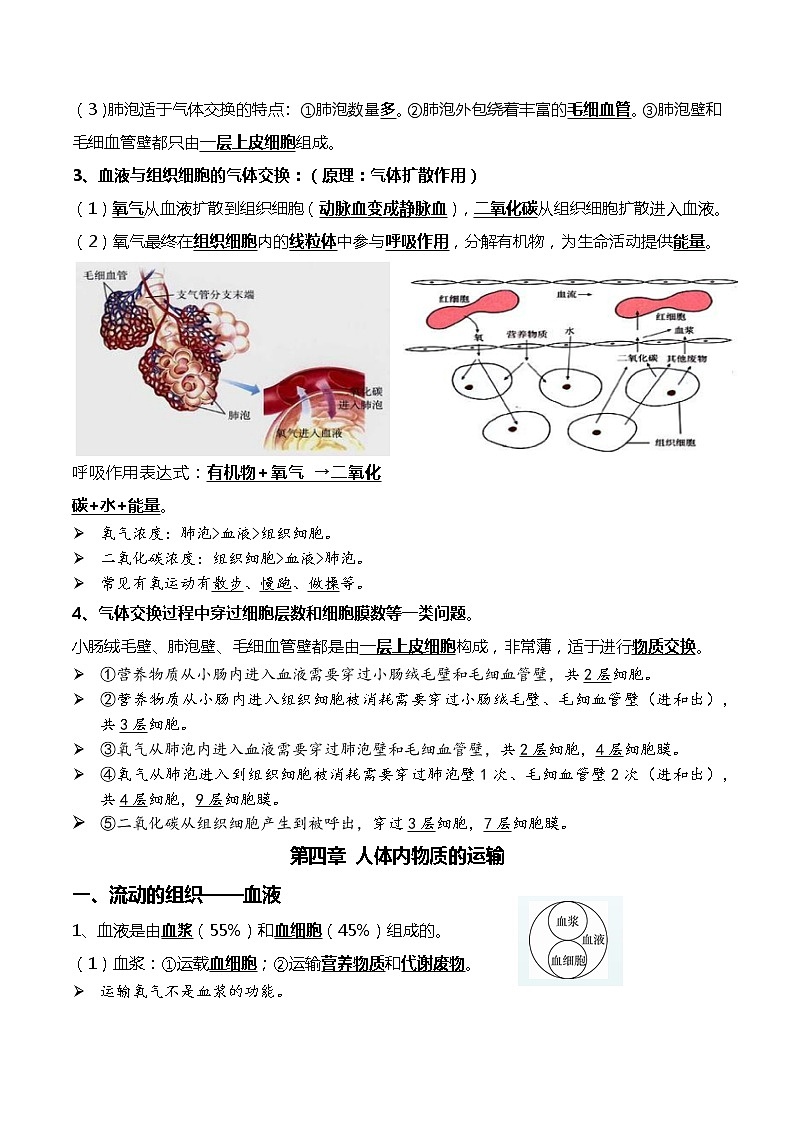 初中生物中考复习 07+人体的呼吸+人体内物质的运输-2022年中考生物一轮复习核心考点必背知识清单03
