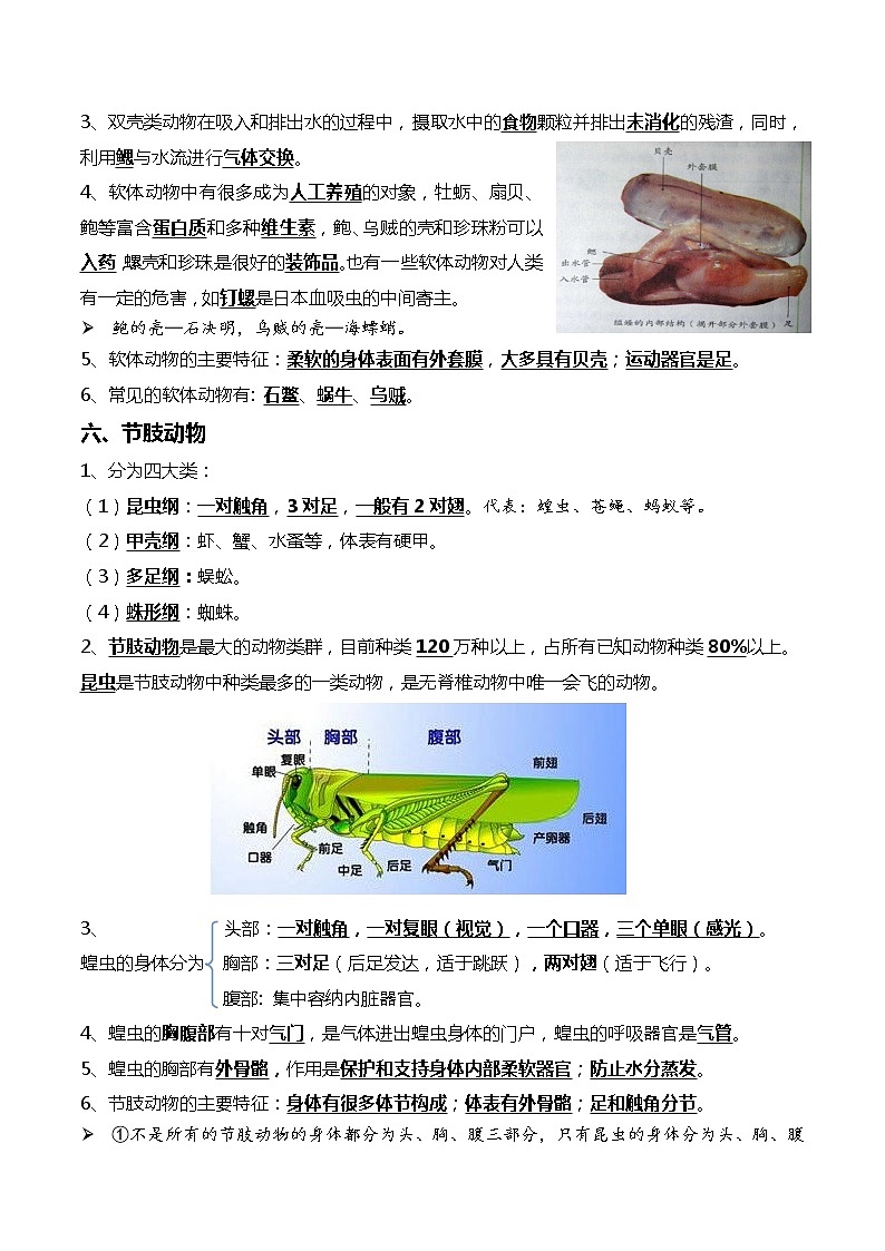 初中生物中考复习 09+动物的主要类群+动物的运动和行为-2022年中考生物一轮复习核心考点必背知识清单03