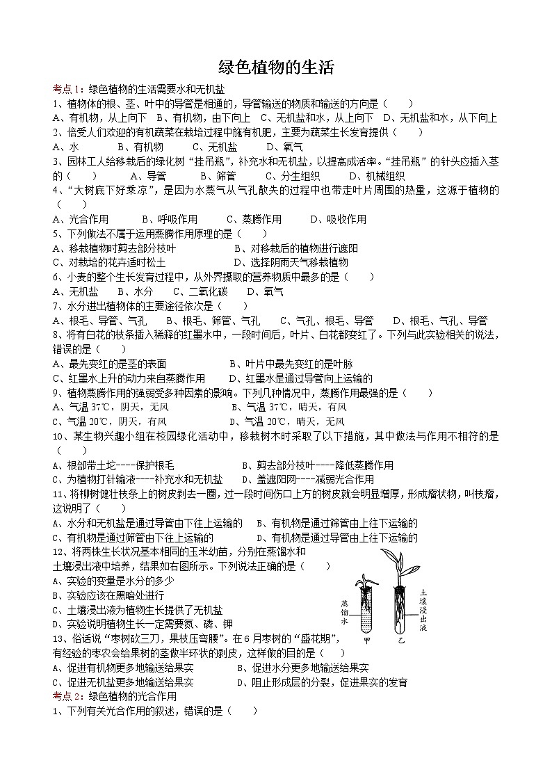 初中生物中考复习 2020届初中生物中考一轮复习考点测试题4绿色植物的生活01
