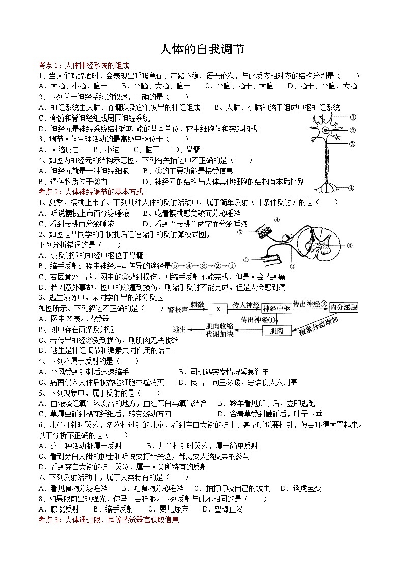 初中生物中考复习 2020届初中生物中考一轮复习考点测试题10人体的自我调节01