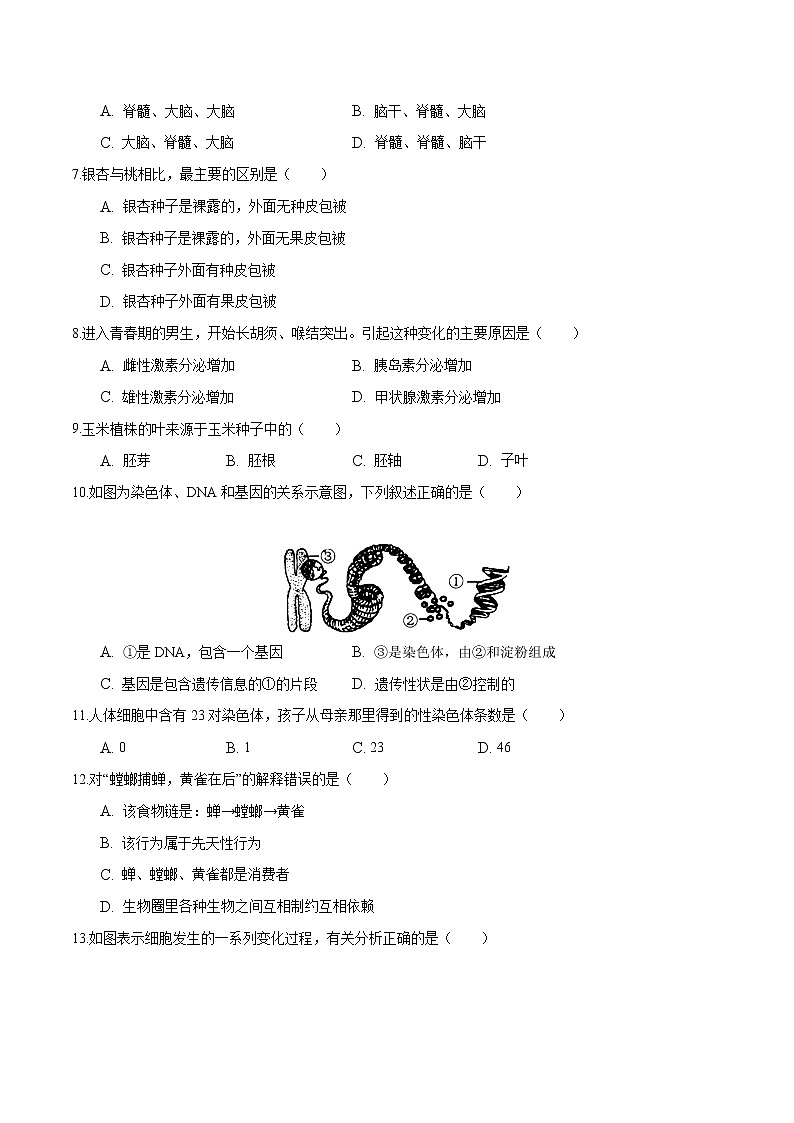 初中生物中考复习 2020年中考生物第二次模拟大联考（江苏）-生物（A4考试版）02
