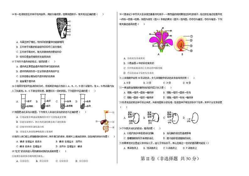 初中生物中考复习 2020年中考生物第二次模拟大联考（江苏）-生物（考试版）第2页