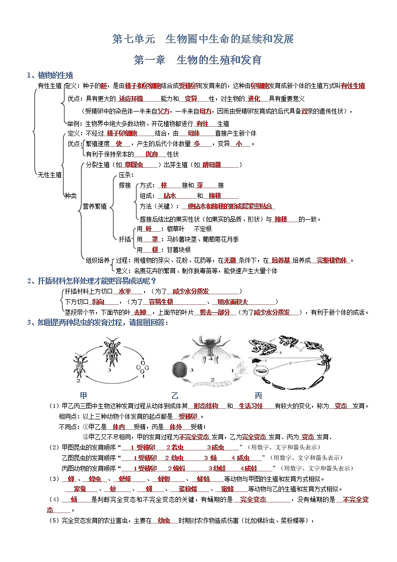 初中生物中考复习 八年级下册-2022年中考生物复习必背考点分册梳理（人教版）（答案版）第1页