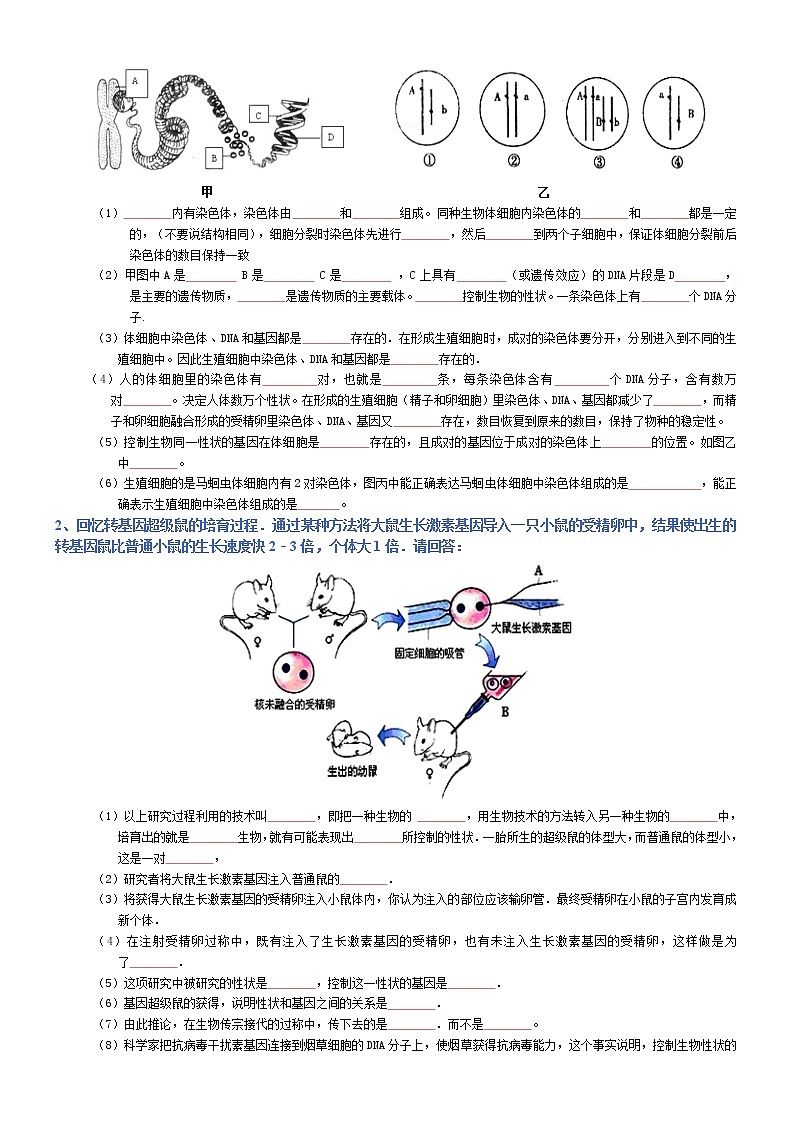 初中生物中考复习 八年级下册-2022年中考生物复习必背考点分册梳理（人教版）（填空版）第3页