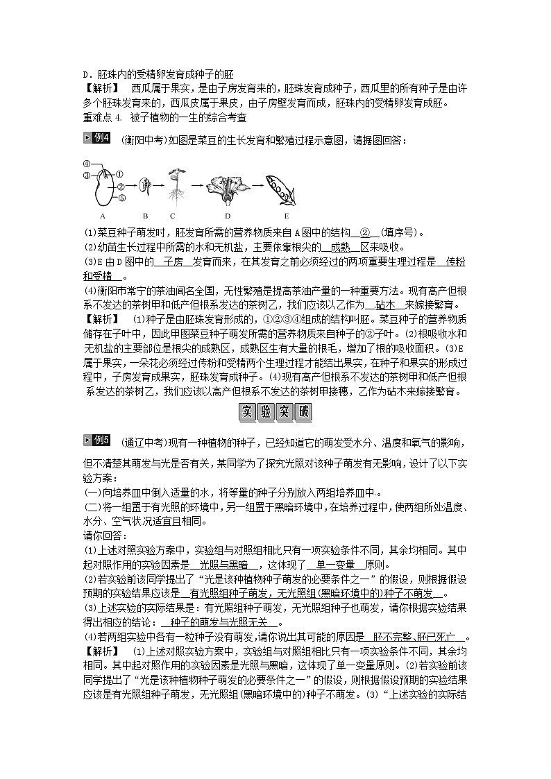 初中生物中考复习 2019年中考生物总复习主题三生物圈中的绿色植物课时5被子植物的一生第2页
