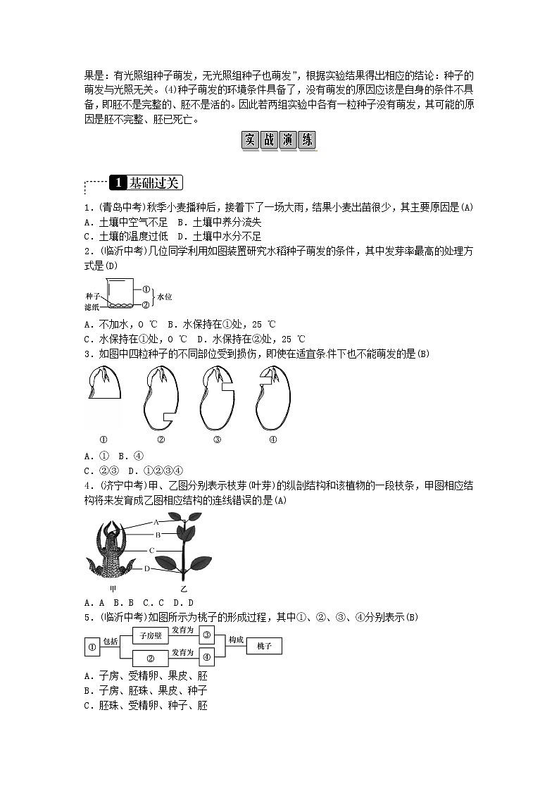 初中生物中考复习 2019年中考生物总复习主题三生物圈中的绿色植物课时5被子植物的一生第3页