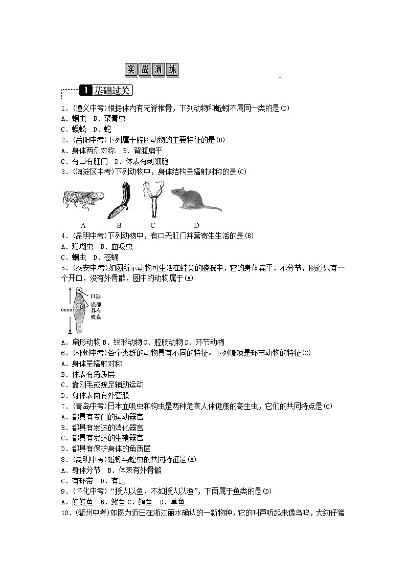 初中生物中考复习 2019年中考生物总复习主题七生物的多样性课时18生物圈中的动物02