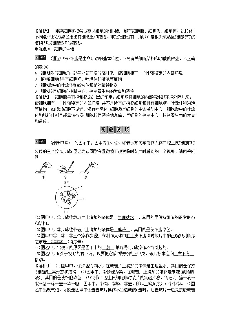 初中生物中考复习 2019年中考生物总复习主题二生物体的结构层次课时3细胞是生命活动的基本单位02