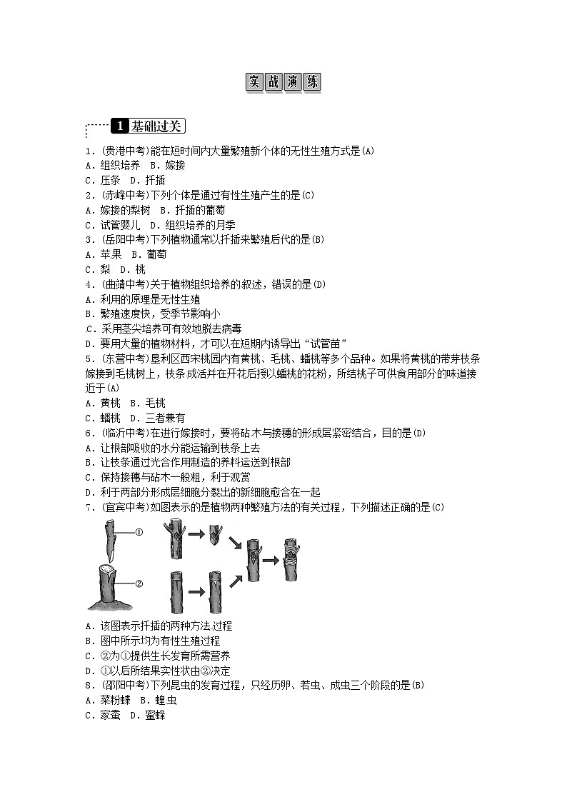 初中生物中考复习 2019年中考生物总复习主题六生物的生殖和发育遗传与变异课时15动物和植物的生殖和发育第2页