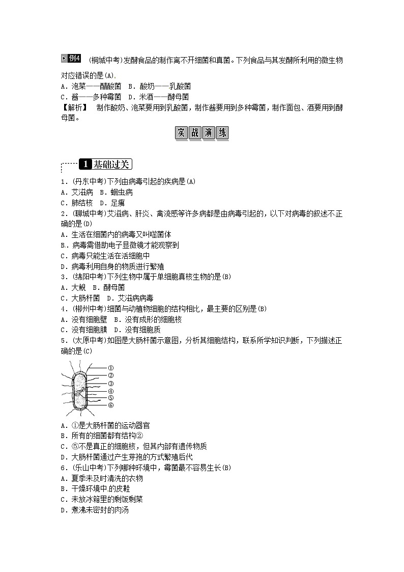 初中生物中考复习 2019年中考生物总复习主题七生物的多样性课时19生物圈中的微生物02