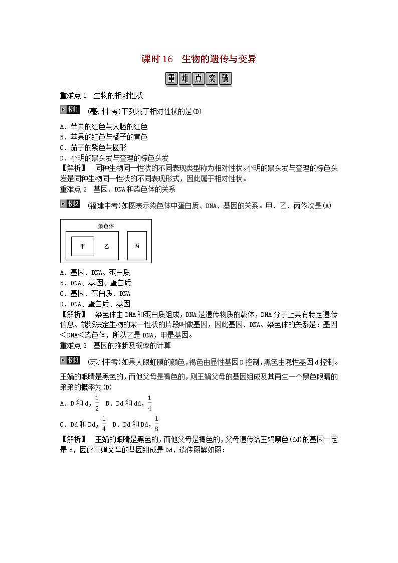 初中生物中考复习 2019年中考生物总复习主题六生物的生殖和发育遗传与变异课时16生物的遗传和变异第1页