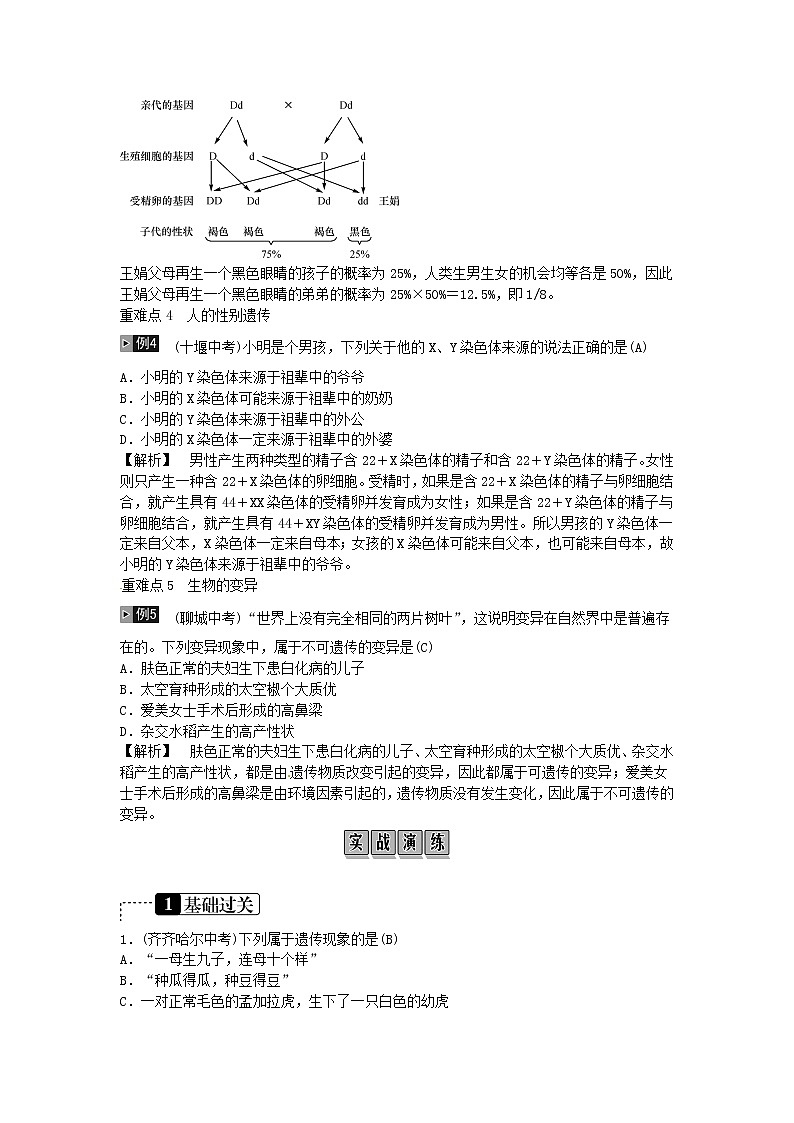 初中生物中考复习 2019年中考生物总复习主题六生物的生殖和发育遗传与变异课时16生物的遗传和变异第2页