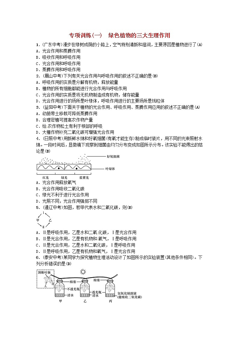 初中生物中考复习 2019年中考生物总复习主题三生物圈中的绿色植物专项训练(一)绿色植物的三大生理作用第1页