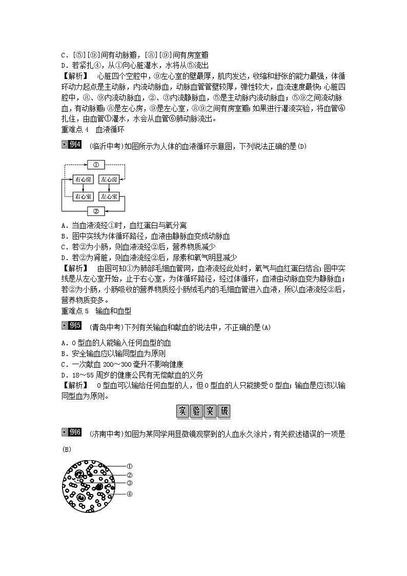 初中生物中考复习 2019年中考生物总复习主题四生物圈中的人课时10人体内物质的运输02