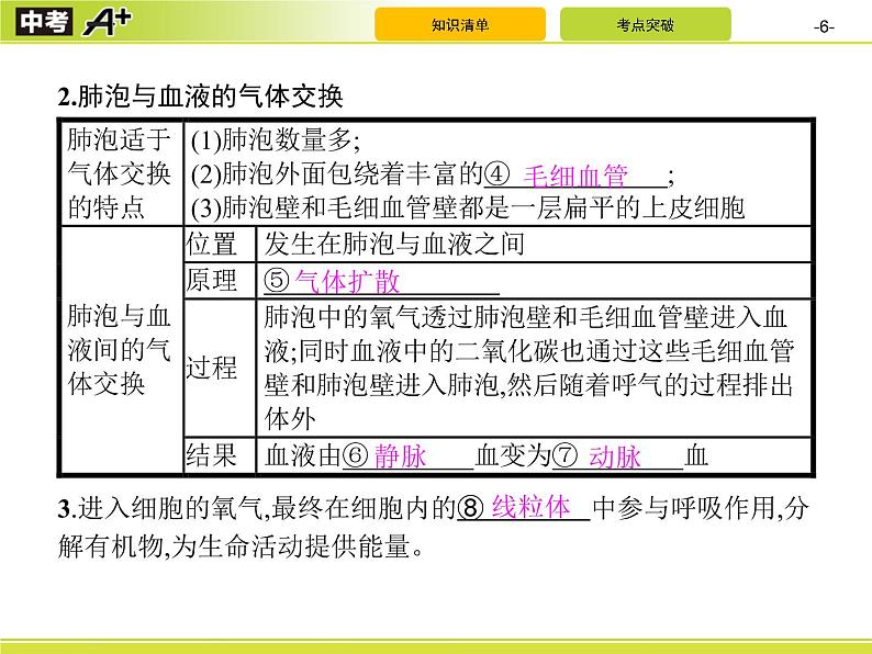 初中生物中考复习 第3讲　人体的呼吸课件PPT第6页