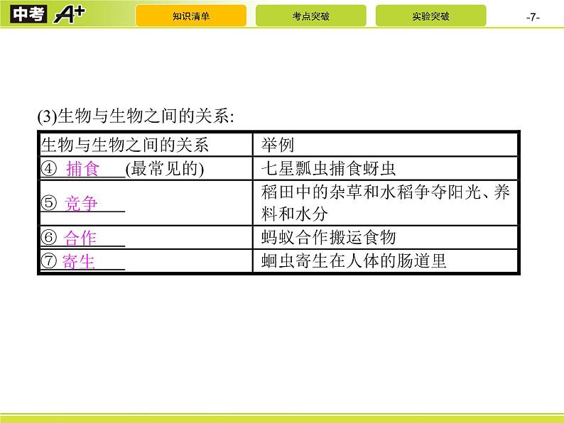 初中生物中考复习 第1讲　认识生物及生物与环境的关系课件PPT第7页