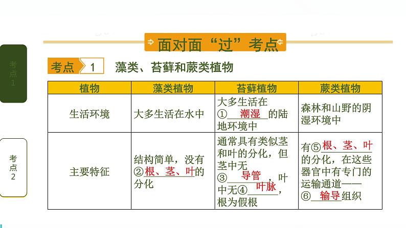初中生物中考复习 第1讲 生物圈中有哪些绿色植物课件PPT第2页