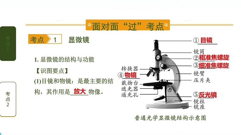 初中生物中考复习 第1讲 细胞是生命活动的基本单位课件PPT第2页