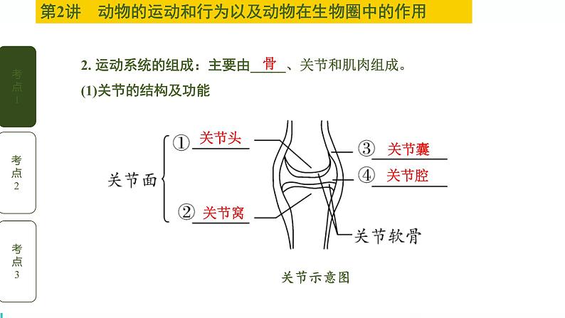 初中生物中考复习 第2讲 动物的运动和行为以及动物在生物圈中的作用课件PPT第3页