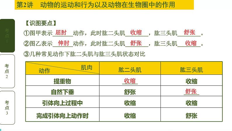 初中生物中考复习 第2讲 动物的运动和行为以及动物在生物圈中的作用课件PPT第7页