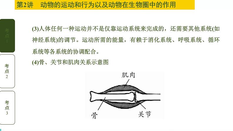 初中生物中考复习 第2讲 动物的运动和行为以及动物在生物圈中的作用课件PPT第8页