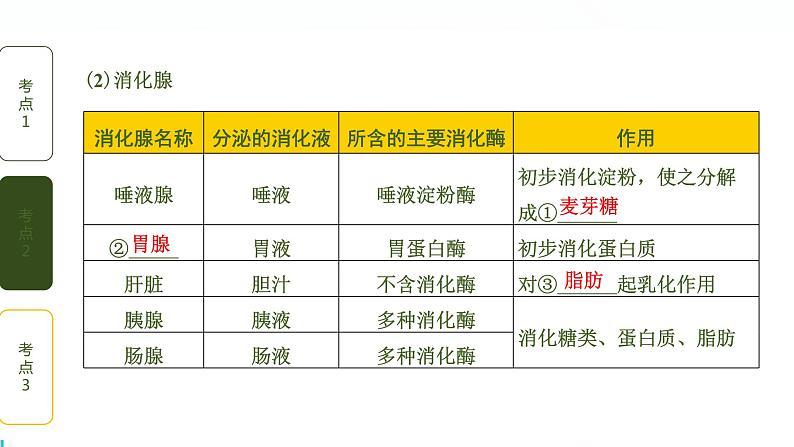 初中生物中考复习 第2讲 人体的营养课件PPT第8页