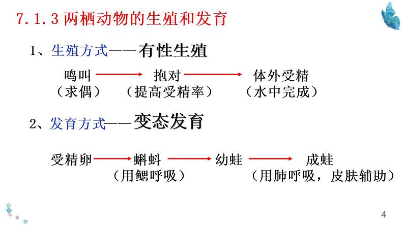 初中生物中考复习 八年级下册知识默写-【临考必背】备战2022年中考生物知识点默写与背诵（人教版）课件PPT第4页