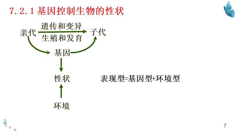 初中生物中考复习 八年级下册知识默写-【临考必背】备战2022年中考生物知识点默写与背诵（人教版）课件PPT第7页