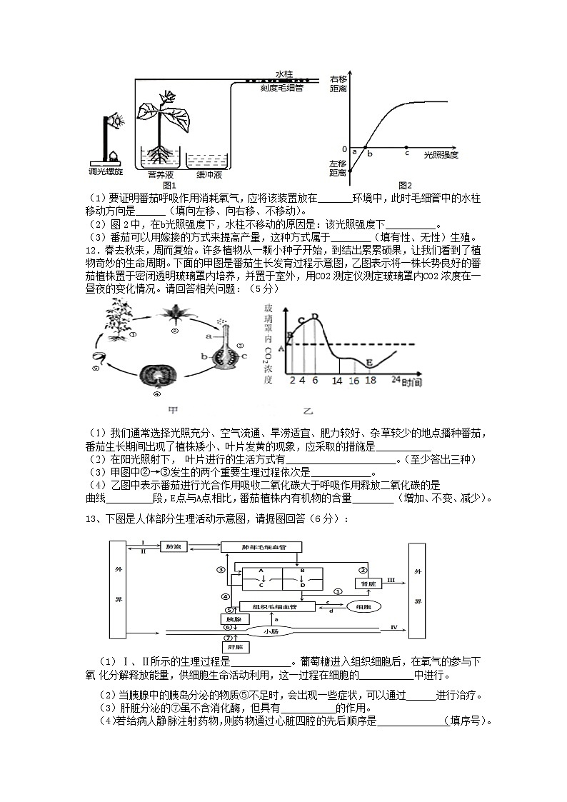 初中生物中考复习 2019中考生物模拟试题（四）03