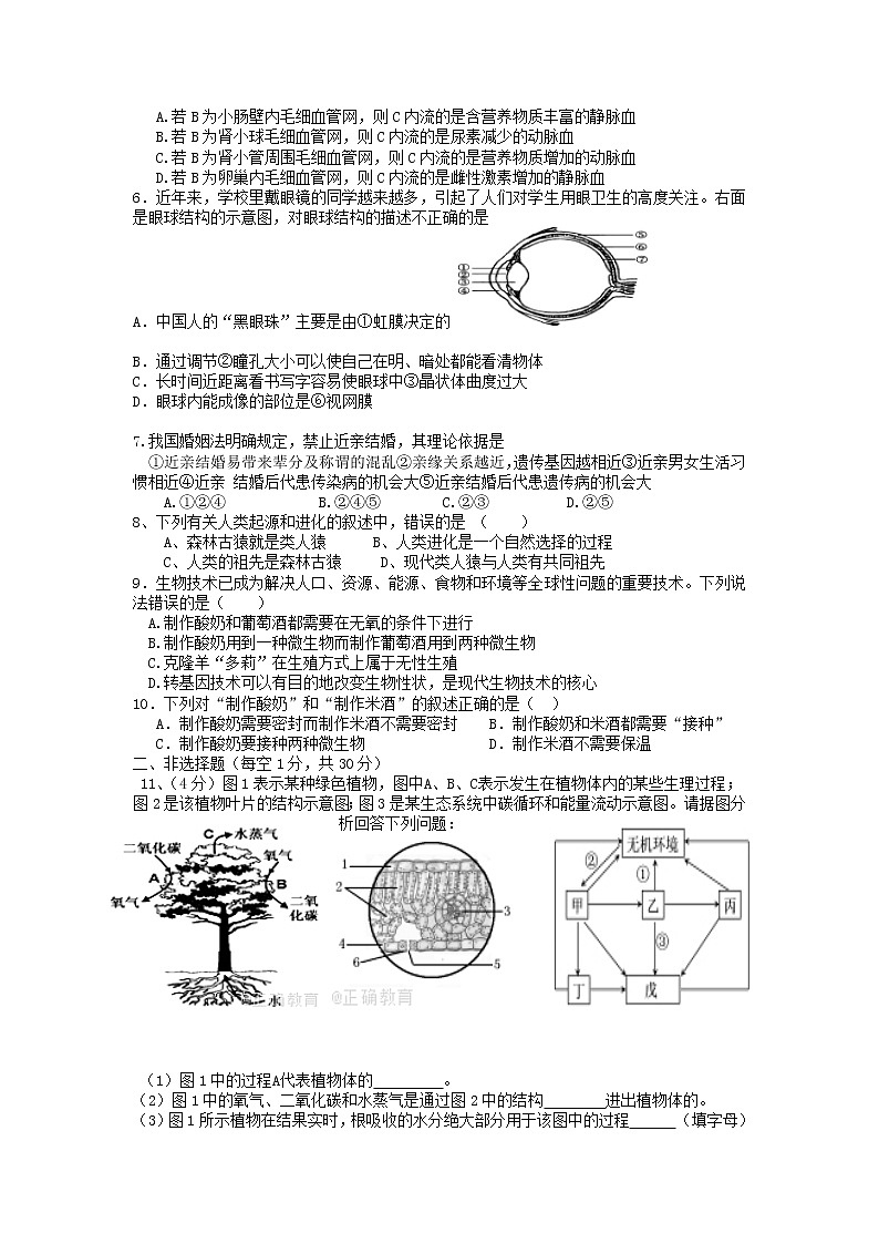 初中生物中考复习 2019中考生物模拟试题（五）第2页