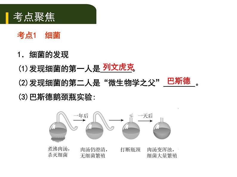 初中生物中考复习 八、（二）细菌、真菌和病毒课件PPT01