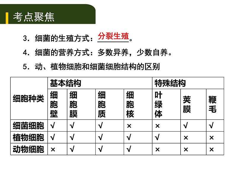 初中生物中考复习 八、（二）细菌、真菌和病毒课件PPT04