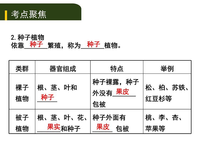 初中生物中考复习 八、（三）动、植物的类群（一）课件PPT03