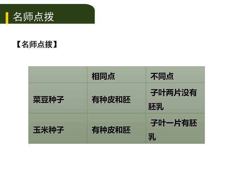 初中生物中考复习 八、（三）动、植物的类群（一）课件PPT04