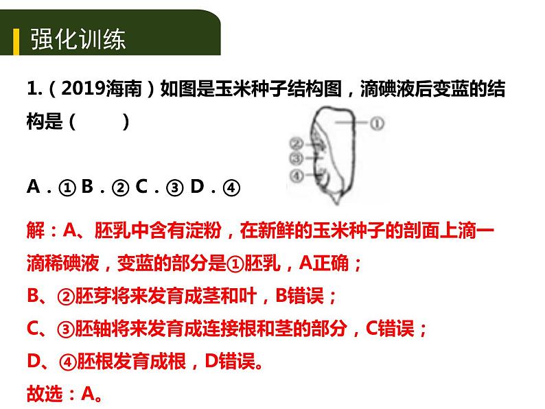 初中生物中考复习 八、（三）动、植物的类群（一）课件PPT06