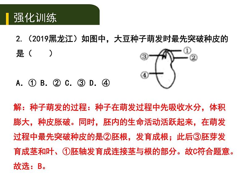 初中生物中考复习 八、（三）动、植物的类群（一）课件PPT07