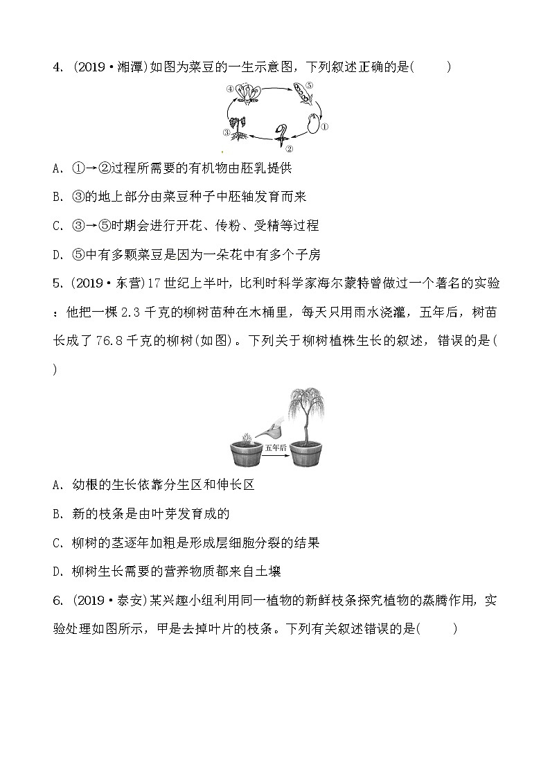 初中生物中考复习 04专题四 专题精练第2页