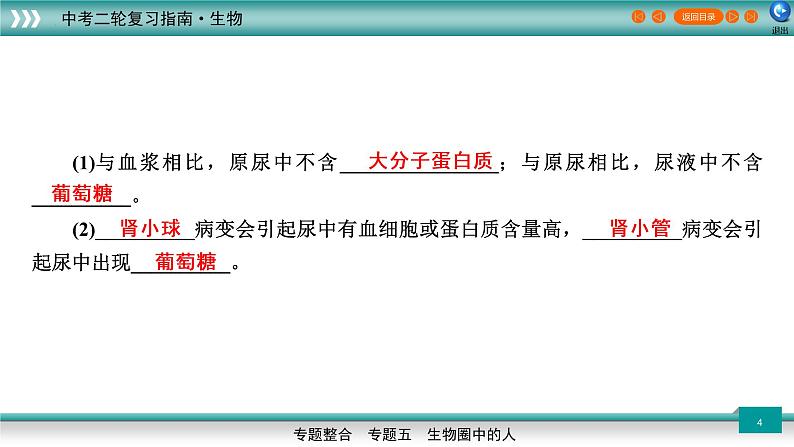 初中生物中考复习 5 3人体代谢废物的排出、生命活动的调节及人类的起源和进化（上课用课件）-【过专题】2022年中考生物二轮精准高效复习第4页