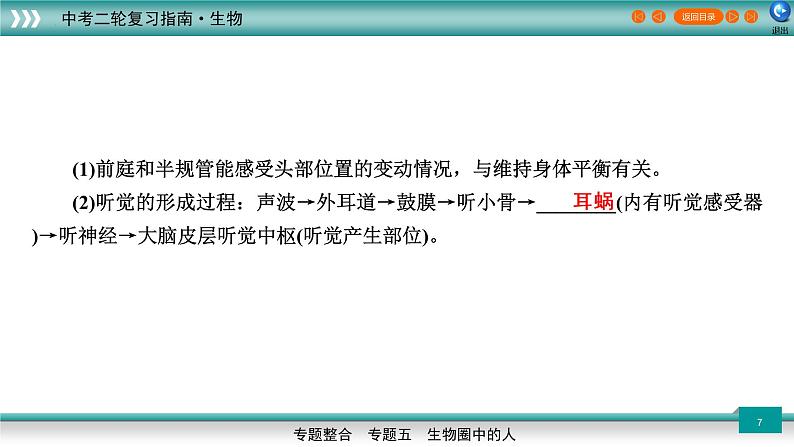 初中生物中考复习 5 3人体代谢废物的排出、生命活动的调节及人类的起源和进化（上课用课件）-【过专题】2022年中考生物二轮精准高效复习第7页