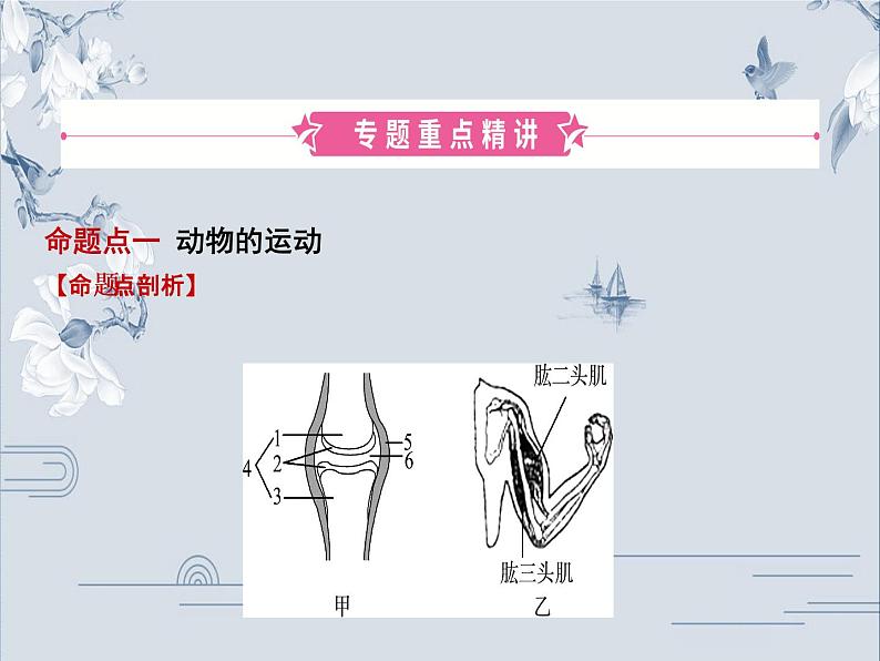 初中生物中考复习 06专题六课件PPT第2页