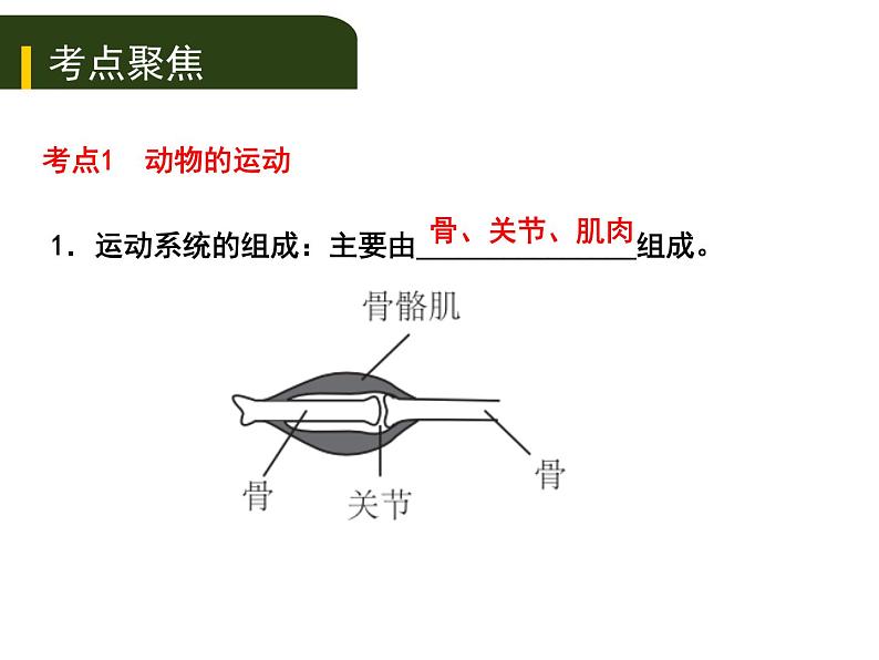 初中生物中考复习 2020年中考生物复习课件（含2019中考真题）六、动物的运动和行为第1页