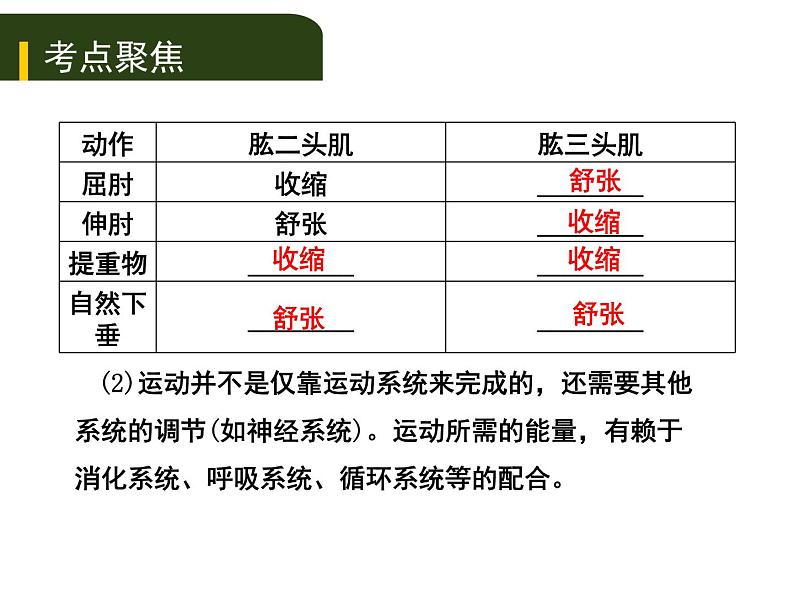 初中生物中考复习 2020年中考生物复习课件（含2019中考真题）六、动物的运动和行为第5页